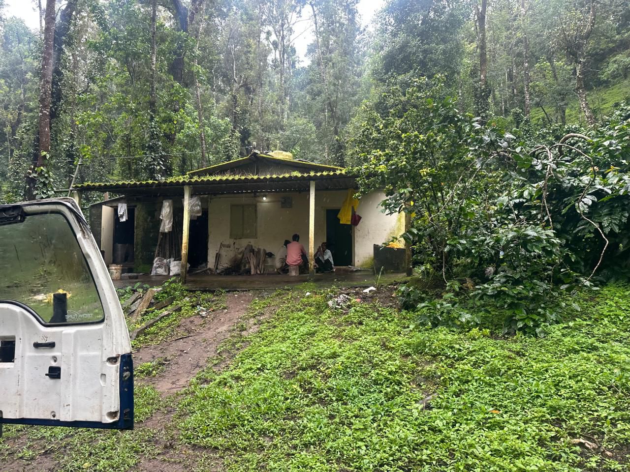 🏡 40 Acres Plantation for Sale – Arehally area 